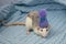 A cute little rat sits in a soft knitted blanket. The rodent is wearing a beautiful blue hat with a pompom. Close-up portrait of