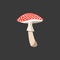 A cute little red-colored mushroom vector or color illustration