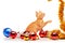 Cute little red kitten playing with golden tinsel near colorful and sparkly Christmas toys