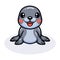 Cute little seal cartoon posing