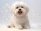 Cute little Shih-Tzu dog with foam bubbles, on white background, cute pet concept, realistic 3D illustration, generative