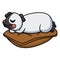 Cute little siamese guinea cartoon sleeping