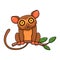 Cute little tarsier cartoon on tree