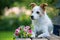 Cute little terrier dog with a roses flower bouquet