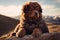 A cute little tibetan mastiff dog