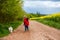 Cute little toddler child, blond boy, walking his little pet dog in the rural, rapeseed field next to him