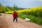 Cute little toddler child, blond boy, walking his little pet dog in the rural, rapeseed field next to him