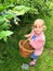 Cute little toddler girl picking blueberries on berry orchard farm garden. Happy child helping and harvesting healthy