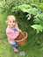 Cute little toddler girl picking blueberries on berry orchard farm garden. Happy child helping and harvesting healthy