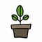 cute little tree plant with potted plant