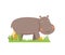 Cute little vector hippo in cartoon style isolated on white background. Baby hippo stands in green grass