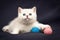 Cute little white British kitten with pink nose caught a pink ball
