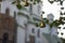 A cute little windbell hanging from a branch. Bells on the branches of the tree in the courtyard of St. Sophia Christian Church