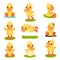 Cute little yellow duckling character set, chick duck in different poses and situations vector Illustrations on a white