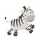 Cute Little Zebra