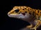 a cute lizard reptile with dark background