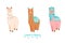 Cute llama or alpaca flat characters set for nursery design, poster, banner, logo, icon, greeting card, sticker. Baby llama or lit