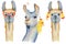 Cute Llama cartoon characters set watercolor illustration, Alpaca animals, hand drawn style. Isolated white background