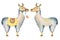 Cute Llama cartoon characters set watercolor illustration, Alpaca animals, hand drawn style. Isolated white background