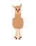 Cute llama facing front. Llama, vicuna, huanaco -clip art.