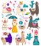 Cute llama, funny alpaca cartoon characters vector illustration