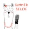 Cute llama with a smart phone