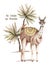 Cute llamas alpaca characters smiling, walking, in Peru desert landscape with cactuses. Mexican funny lama animal family