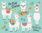 Cute Llamas with Spring Flowers Vector Illustration.