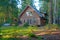 Cute log cabin in the forest