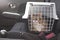 Cute longhair cat in a pet carrier stands on the passenger seat in a car.