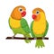 Cute lovebirds couple standing on a tree branch
