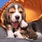 Cute and lovely beagle puppies, pets. Care consept.