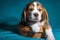 Cute and lovely beagle puppy, pets, animal care concept.