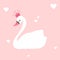 Cute lovely princess swan on pink background illustration