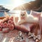 A cute luxurious white cat in sunny lies on the pillow on a sailing boat, relaxing on a lazy day. Royal princesses girly style in