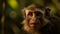 Cute macaque sitting in tropical forest tranquility generated by AI