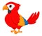 Cute Macaw bird cartoon