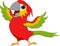 Cute macaw bird cartoon