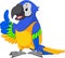 Cute macaw cartoon