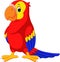 Cute macaw cartoon