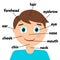 Cute male cartoon smiling boy with labels, infographic chart for kids isolated. Parts of the face english learning educational