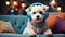 cute Maltese dog wearing headphones in the room relaxation resting friendly lovely