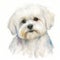 Cute Maltese Puppy in Watercolor: A Charming and Playful Portrait Captured in Artistic Detail AI Generated