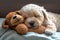 Cute Maltipoo Puppy Sleeping with His Teddy Bear - Ai Generative