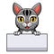 Cute manx cat cartoon holding blank sign
