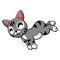 Cute manx cat cartoon jumping