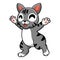 Cute manx cat cartoon raising hands