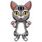 Cute manx cat cartoon standing