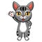 Cute manx cat cartoon waving hand