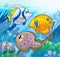 Cute marine animals 2